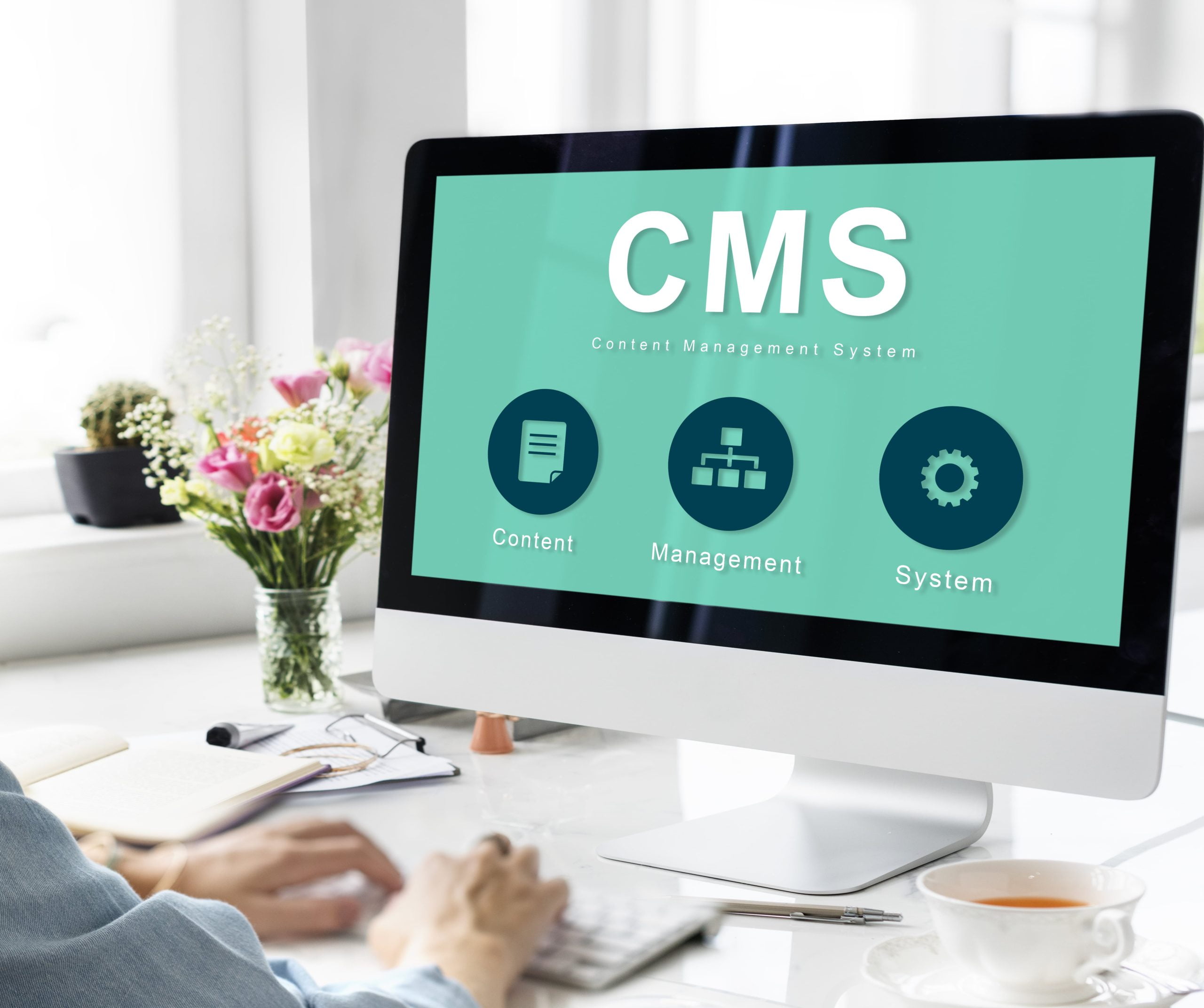 CMS Development